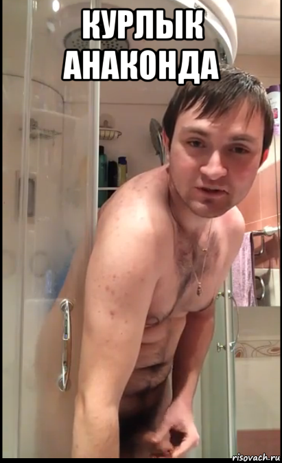 курлык анаконда 