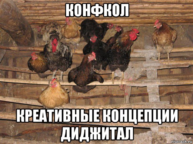 конфкол креативные концепции диджитал, Мем Курятник