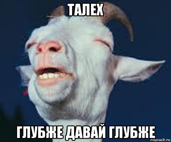 талех глубже давай глубже, Мем Мага