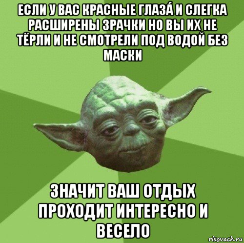 если у вас красные глазá и слегка расширены зрачки но вы их не тёрли и не смотрели под водой без маски значит ваш отдых проходит интересно и весело, Мем Мастер Йода