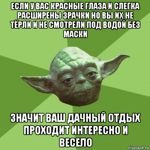 если у вас красные глаза и слегка расширены зрачки но вы их не тёрли и не смотрели под водой без маски значит ваш дачный отдых проходит интересно и весело, Мем Мастер Йода