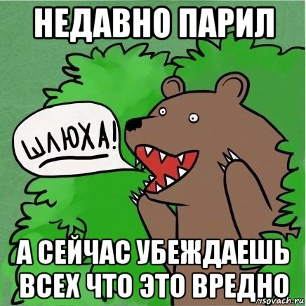 недавно парил а сейчас убеждаешь всех что это вредно, Мем Медведь в кустах