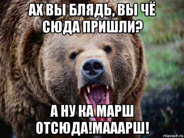 ах вы блядь, вы чё сюда пришли? а ну ка марш отсюда!мааарш!