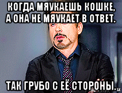 когда мяукаешь кошке, а она не мяукает в ответ. так грубо с её стороны., Мем мое лицо когда