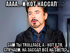 аааа... и кот нассал*_* сам ты trollface, а - кот у тя, случаем, на зассал всё на свете?, Мем мое лицо когда