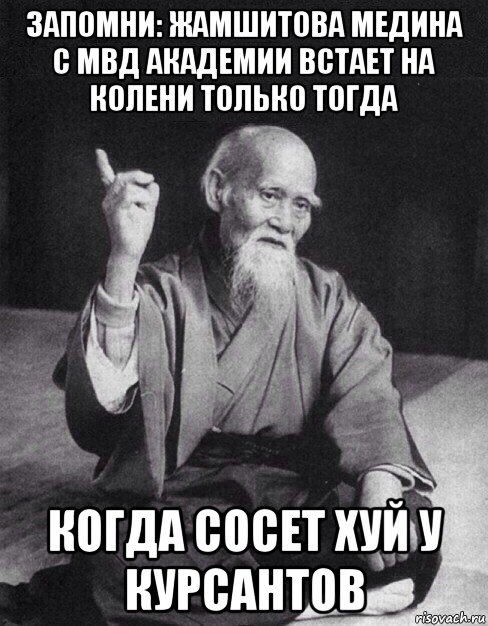 запомни: жамшитова медина с мвд академии встает на колени только тогда когда сосет хуй у курсантов, Мем Монах-мудрец (сэнсей)