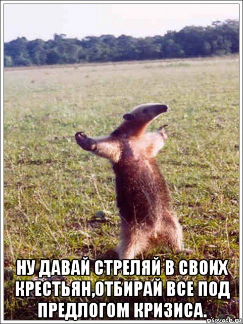  ну давай стреляй в своих крестьян,отбирай все под предлогом кризиса.
