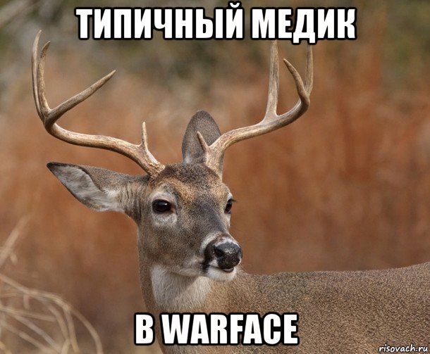 типичный медик в warface, Мем  Наивный Олень v2