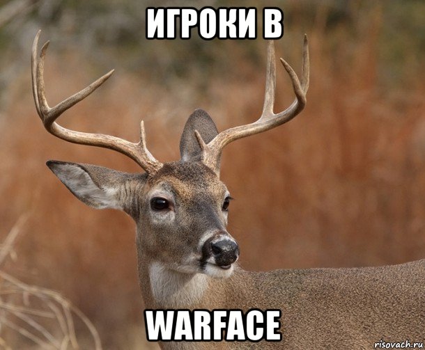 игроки в warface, Мем  Наивный Олень v2