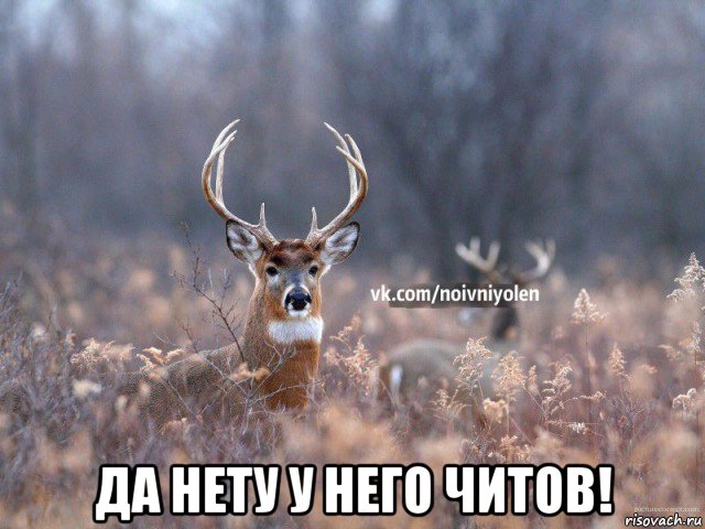  да нету у него читов!, Мем Наивный Олень vk