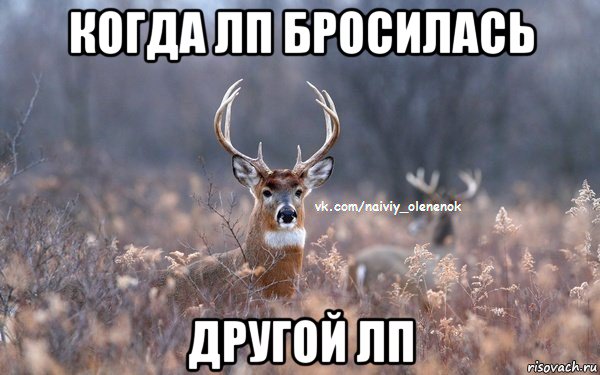 когда лп бросилась другой лп