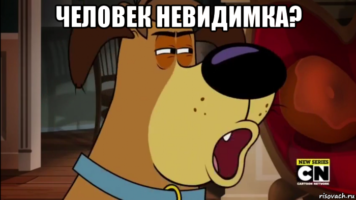 человек невидимка? , Мем Настороженный гарольд