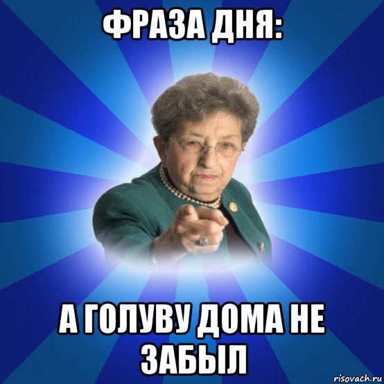 фраза дня: а голуву дома не забыл, Мем Наталья Ивановна