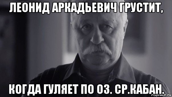 леонид аркадьевич грустит, когда гуляет по оз. ср.кабан., Мем Не огорчай Леонида Аркадьевича