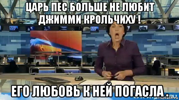 царь пес больше не любит джимми крольчиху ! его любовь к ней погасла .
