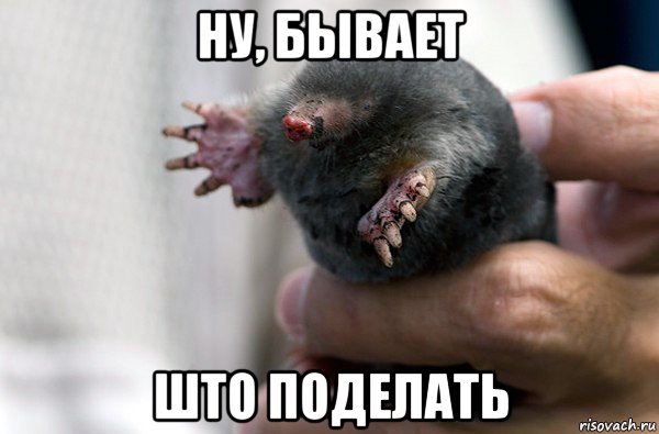 ну, бывает што поделать