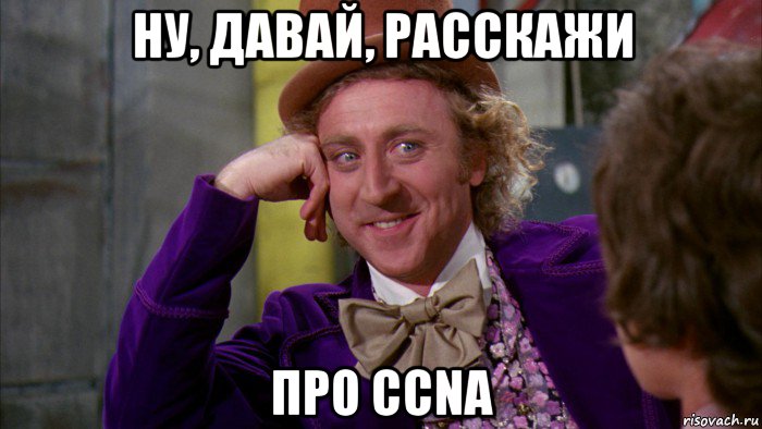 ну, давай, расскажи про ccna, Мем Ну давай расскажи (Вилли Вонка)