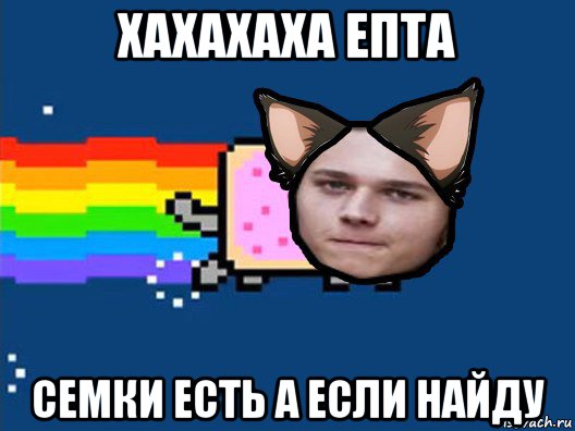 хахахаха епта семки есть а если найду, Мем Нян Кэт в Реальной Жизни