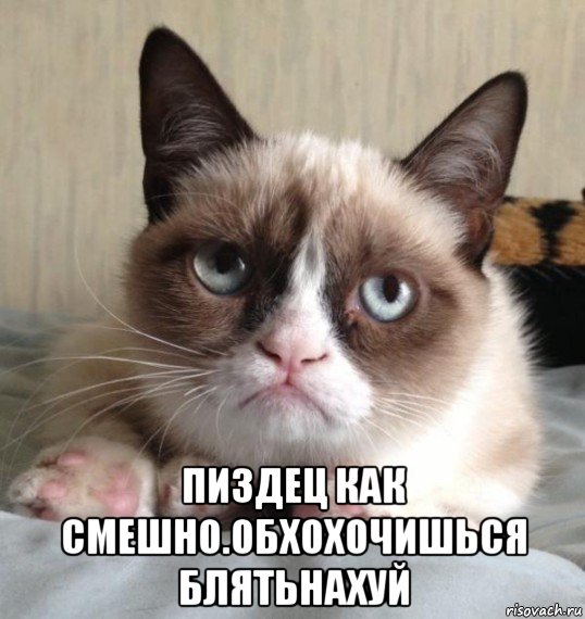  пиздец как смешно.обхохочишься блятьнахуй