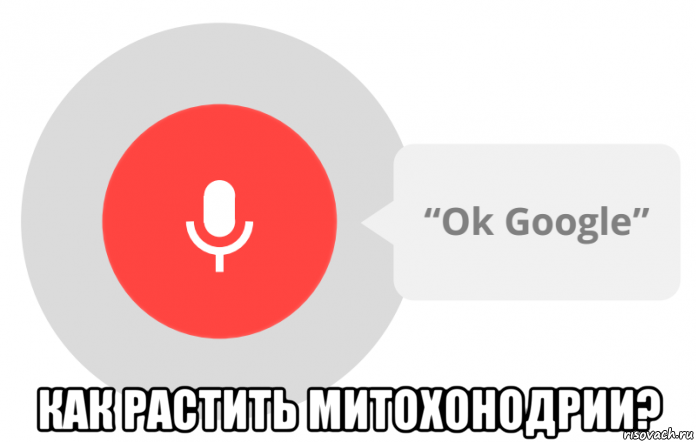  как растить митохонодрии?, Мем OK Google