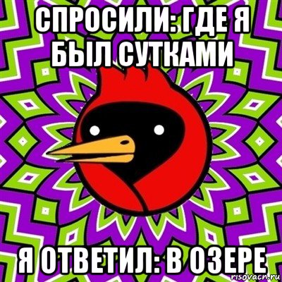 спросили: где я был сутками я ответил: в озере, Мем Омская птица