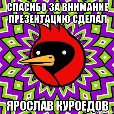 спасибо за внимание презентацию сделал ярослав куроедов, Мем Омская птица