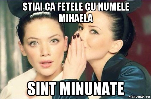 stiai ca fetele cu numele mihaela sint minunate, Мем  Он