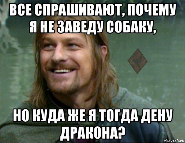 все спрашивают, почему я не заведу собаку, но куда же я тогда дену дракона?, Мем ОР Тролль Боромир