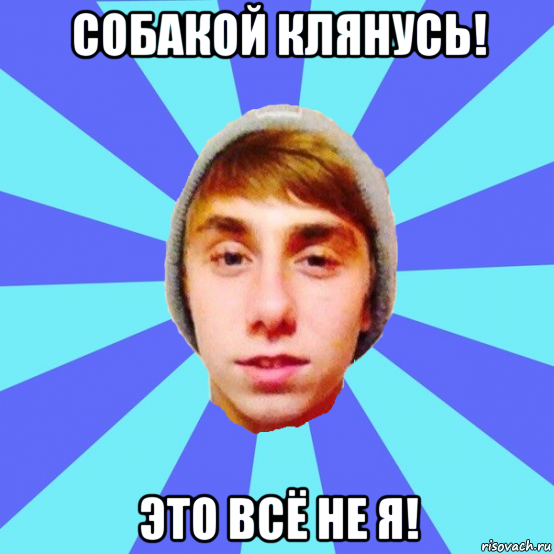 собакой клянусь! это всё не я!