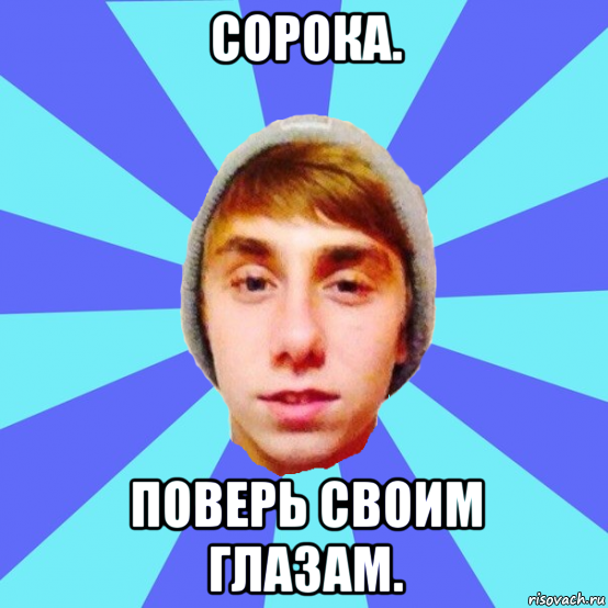 сорока. поверь своим глазам.
