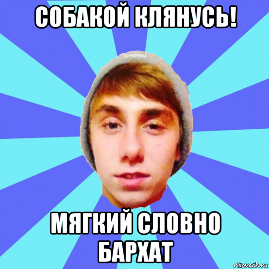 собакой клянусь! мягкий словно бархат