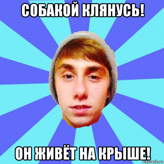 собакой клянусь! он живёт на крыше!
