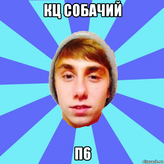 кц собачий п6