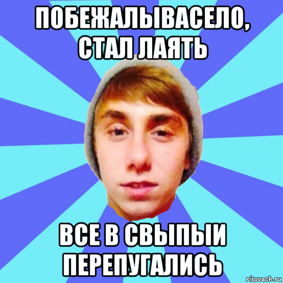 побежалывасело, стал лаять все в свыпыи перепугались