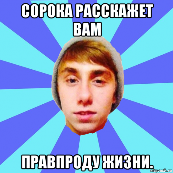 сорока расскажет вам правпроду жизни.