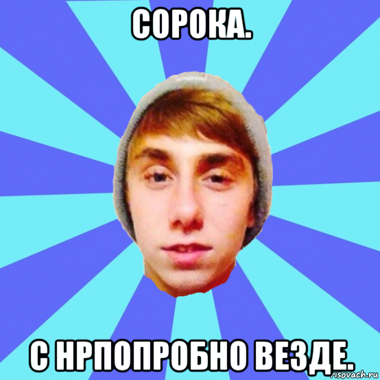 сорока. с нрпопробно везде.