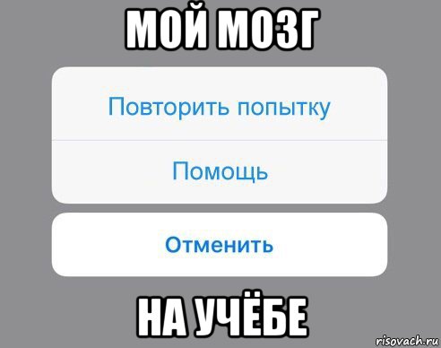 мой мозг на учёбе