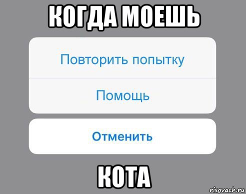 когда моешь кота