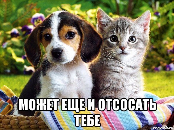  может еще и отсосать тебе, Мем Ответ