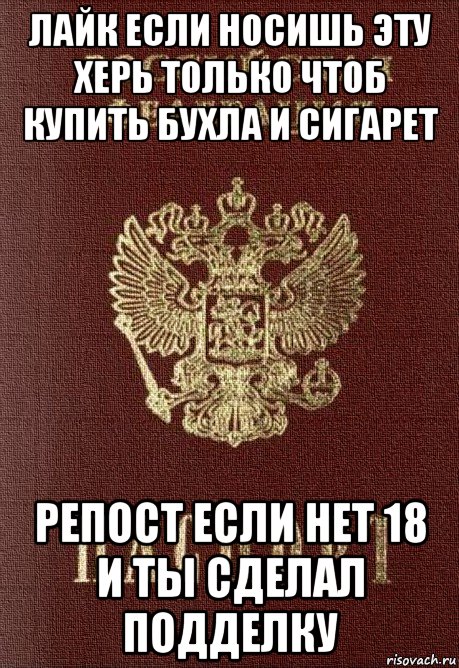 лайк если носишь эту херь только чтоб купить бухла и сигарет репост если нет 18 и ты сделал подделку, Мем паспорт