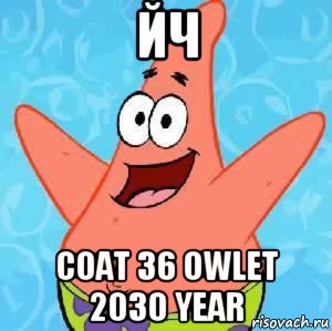 йч coat 36 owlet 2030 year, Мем Патрик