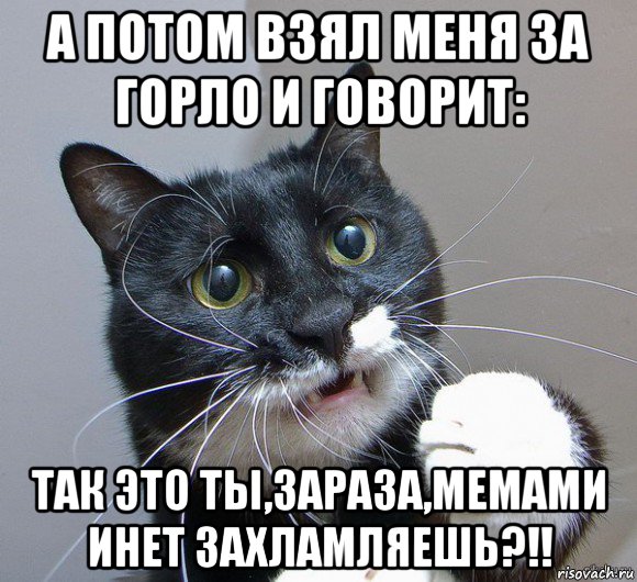 а потом взял меня за горло и говорит: так это ты,зараза,мемами инет захламляешь?!!