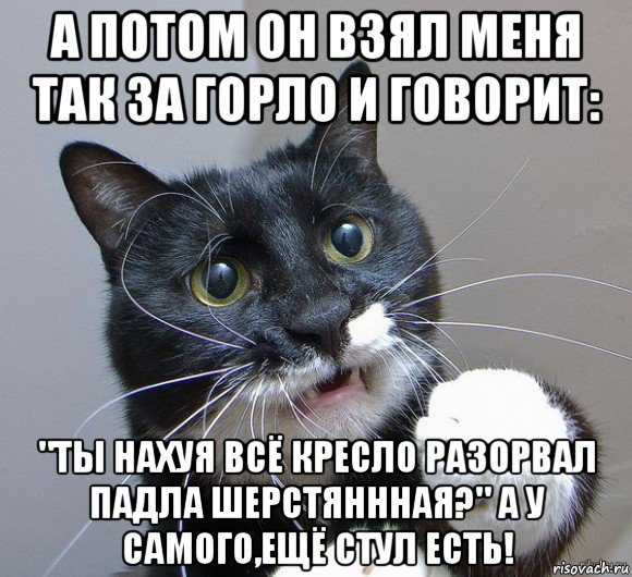 а потом он взял меня так за горло и говорит: "ты нахуя всё кресло разорвал падла шерстяннная?" а у самого,ещё стул есть!