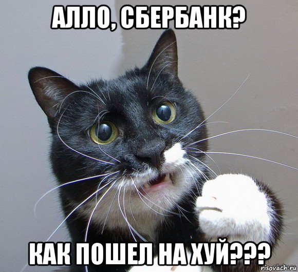 алло, сбербанк? как пошел на хуй???