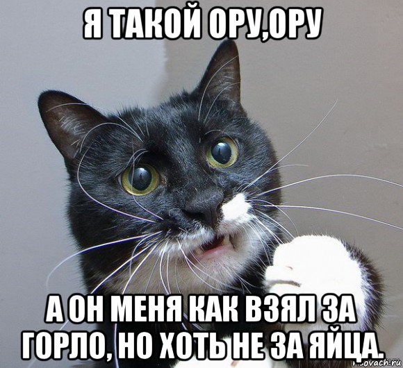 я такой ору,ору а он меня как взял за горло, но хоть не за яйца.