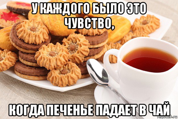 у каждого было это чувство, когда печенье падает в чай, Мем Печентки