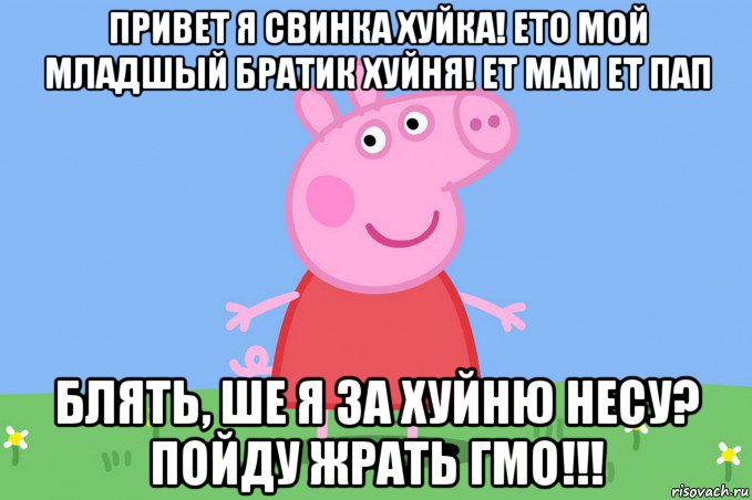 привет я свинка хуйка! ето мой младшый братик хуйня! ет мам ет пап блять, ше я за хуйню несу? пойду жрать гмо!!!, Мем Пеппа