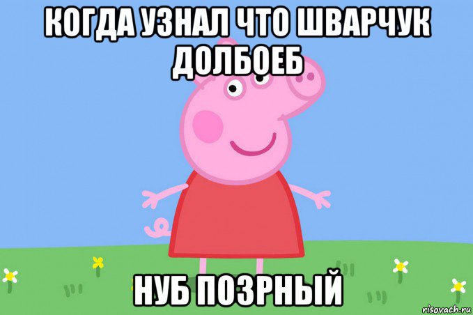 когда узнал что шварчук долбоеб нуб позрный, Мем Пеппа