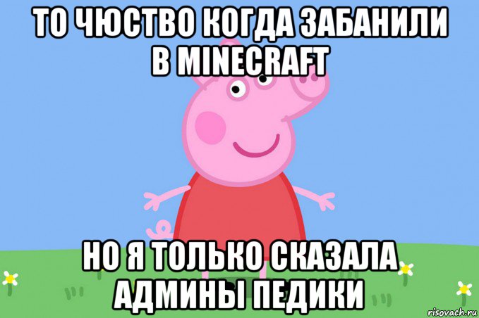 то чюство когда забанили в minecraft но я только сказала админы педики