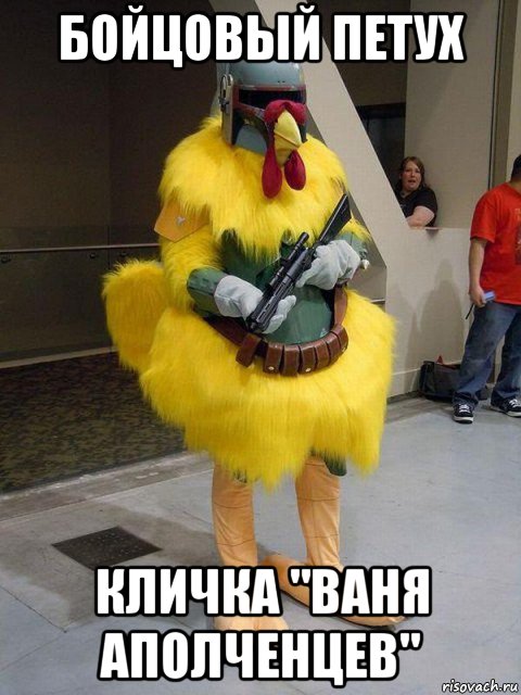 бойцовый петух кличка "ваня аполченцев"